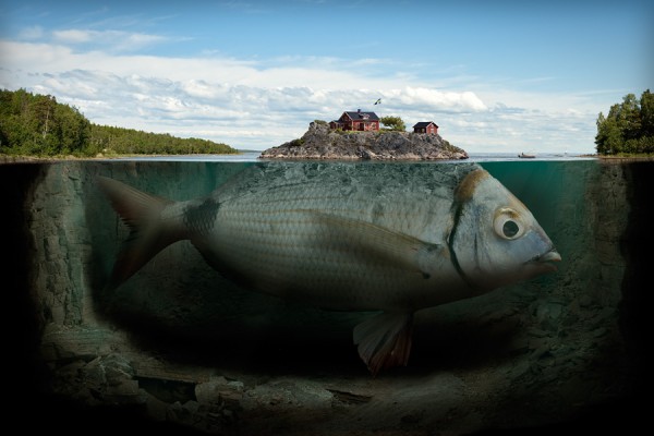 © Erik Johansson - Fisk